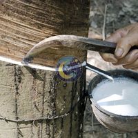 Caoutchouc naturel vietnamien de haute qualité 60% DRC, bidons en caoutchouc blanc, haute teneur en ammoniac, qualité de moulage HA, qualité médicale, haute résistance aux chocs