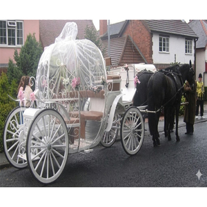 Dernière Nouveauté : Magnifique Calèche de Cendrillon recouverte de Jali pour Mariage Insulaire, Prix Usine Australie - Product Image 1