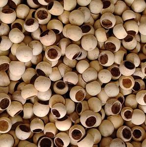 Mini Campanas Naturales Secas de Planta, las Más Vendidas, para Potpourri, Manualidades y Arte, Disponibles en Colores Teñidos, Blanqueados y con Brillo - Product Image 4