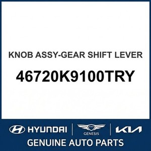 Nouveaux interrupteurs et commandes Kona 46720K9100TRY - Product Image 1