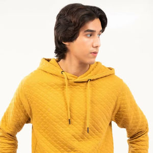 Vente en gros de sweat à capuche de qualité en coton épais imprimé pour hommes pull de luxe surdimensionné à impression personnalisée sweats à capuche en coton personnalisés - Product Image 1