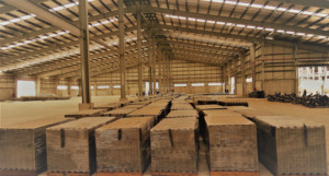 Duragreen moderne de panneau de bâtiment de ciment de fibre pour la construction au Vietnam aucune garantie à vie de fabricant de la Chine - Product Image 2