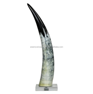 Cuernos de Vaca Pulidos de Primera Calidad, Decoración Artesanal de Estilo Rústico Occidental - Product Image 4