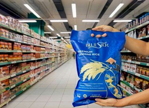 Arroz jazmín premium, arroz aromático |   Exportación Directa de Fábrica |   Empaque de 1-50 kg |   Empaque Personalizado (Joice) - Product Image 5