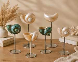 Seashell Martini <b>Glasses</b> Luxury Elegant Long Stem Handmade Trending Valentine's Day Gift Shell Wine <b>Glasses</b> Wedding Bridesmaid - Product Image 6