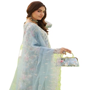 Colección de Organza, vestido de fiesta paquistaní de 3 piezas para mujer, Festival, boda, traje Sari, ropa India paquistaní diseñada DR - Product Image 1