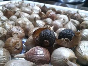 Ly Son Ail noir doux doux et riche en antioxydants idéal pour l'exportation - Product Image 4