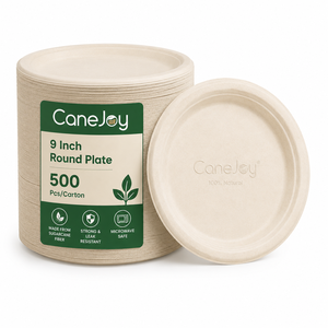 Canejoy 9 Inch Bagasse Round <b>Plate</b> | Eco-Friendly <b>Disposable</b> Travel Dinner <b>Plate</b> | 10 Packs | Classic Style | Made in Gujarat - Product Image 6