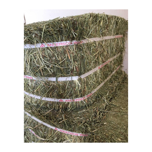 Wholesale Alfalfa Hay Animal <b>Feeding</b> Stuff Alfalfa, hay/alfalfa hay <b>pellets</b> Timothy Hay/ Alfalfa in Bales Best Super Top Quality - Product Image 4