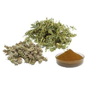 Extracto de Gokhru, el Más Vendido, Extracto de la Planta Tribulus Terrestris en Polvo para la Salud Renal y el Apoyo Urinario, a Base de Hierbas, Disponible para la Venta - Product Image 1
