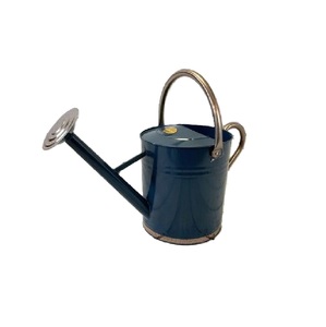 Regadera de Metal Azul Galvanizado, Simple, Creativa, Fácil de Usar, para el Cuidado de Plantas en Interiores y Exteriores, Versátil - Product Image 4