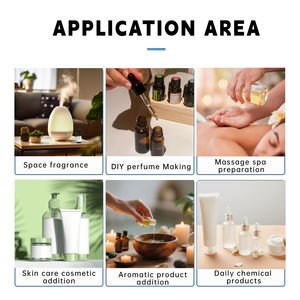 Paket Label pribadi 100% minyak esensial akar <span class=keywords><strong>Calamus</strong></span> Gramineus murni dan alami untuk pereda stres logam - Product Image 5