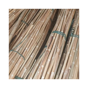 Calidad superior con materia prima de los postes de ratán de caña natural del precio competitivo con Shell Rattan Manau - Product Image 6