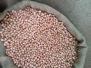 Arachides (Cacahuètes) Naturelles Brutes Premium Fraîches de Culture Indienne Courante, Collation Entière de Haute Qualité Prête à Consommer DEV NAMO P7C - Product Image 2
