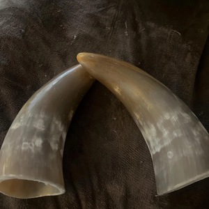 Par de Cuernos de Longhorn Pulidos para Decoración de Pared, Diseño Art Deco Ecológico, Grandes de 10 y 18 Pulgadas, para Bodas, Cumpleaños, Aniversarios, Año Nuevo - Product Image 1