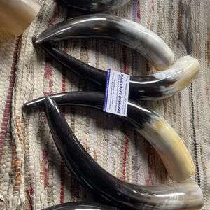 Paire de cornes de bison polies, décoration murale, design Art Déco, grande taille de 10 à 18 pouces, pour mariage, anniversaire - Product Image 1