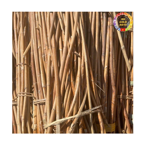 Raw Rattan Cane | Natural Vietnam Supplier Bulk Durable Poles for Furniture <b>Frame</b> OEM - Product Image 3