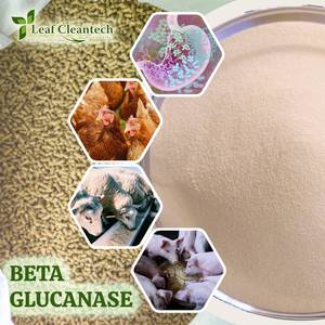 Enzima beta glucanasa para alimentación animal-Mejora DE LA DIGESTIÓN-Absorción de nutrientes-Salud intestinal de la India | Enzimas de alimentación animal | - Product Image 4