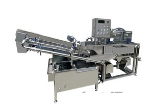 Multifunctional <b>Fruit</b> <b>Vegetable</b> Onion Potato Washing <b>Machine</b> - Product Image 2