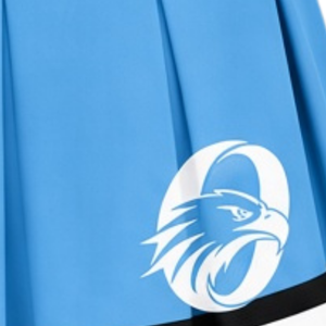 Jupe plissée bleu clair sublimée pour cheerleading, bas de tenue de sport d'équipe, vêtements d'entraînement athlétique, compétition - Product Image 6