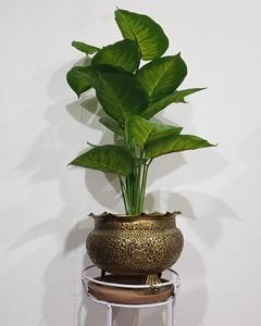 Macetero de latón con acabado dorado grabado tradicional, ideal para decoración de interiores del hogar y elegante estilo de plantas en la mesa de entrada. - Product Image 6