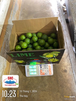 Premium Vietnamese Lime zonder pit – Heldergroene schil, rijke smaak, hoog sapgehalte