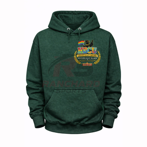 Hoodie personnalisé pour les universités et les collèges HBCU, look stylé, chaud, confortable, durable, professionnel. - Product Image 1