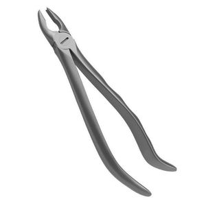 ARISTON INTERNATIONAL Pinzas de Extracción Dental de Alta Calidad con Patrón Inglés, de Acero Inoxidable, Manuales, Certificadas CE - Product Image 1