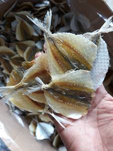 ปลาสแคนด์เหลืองแห้งปรุงรสแบบไม่ใช่จีเอ็มโอ สำหรับตลาดเอเชียและยุโรป ผู้จัดจำหน่ายขายส่ง - Product Image 6