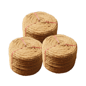 Produit phare : Corde en fibre de coco durable de haute qualité pour la protection des rives et des pentes - Product Image 1