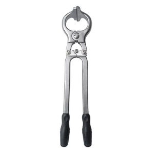 Pince de castration vétérinaire en acier inoxydable, outil chirurgical pour animaux d'élevage, bovins, ovins, caprins, usage vétérinaire - Product Image 1