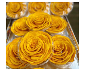 Mango Deshidratado Suave en Caja de Plástico, Precio de Fábrica, Mango Deshidratado Premium, Bocadillo Dulce y Masticable, Mango Deshidratado de Vietnam, Calidad de Exportación, Sin Azúcar - Product Image 1