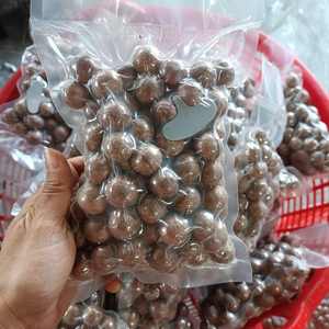 Venta al por mayor de nueces de macadamia tostadas de la nueva cosecha 2026 con cáscara o sin cáscara, suministro a granel, mejor precio - Sra. Tarina - Product Image 5