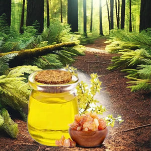 น้ำมันหอมระเหย galbanum จากธรรมชาติ100% เกรดเครื่องสำอางมี25kgs และบรรจุภัณฑ์180kgs - Product Image 2