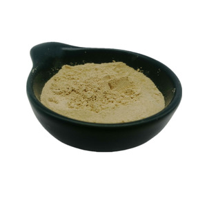 Lécithine de Soja en Poudre de Qualité Supérieure pour l'Exportation, Vente en Gros, Service OEM, Qualité Alimentaire, Prête à l'Expédition, Approvisionnement en Vrac - Product Image 2