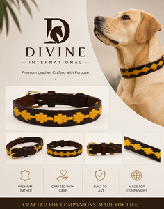Premium Polo <b>Leather</b> <b>Dog</b> <b>Collar</b> Manufacturer <b>for</b> Pet Brands Wholesale from Divine International Uttar Pradesh India - Product Image 6