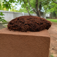 Blocs de fibre de coco à haute expansion 16-17L 5Kg Écologiques Biologiques Biodégradables Haute Rétention d'Eau Faible EC Prêts à l'emploi Tamil Nadu