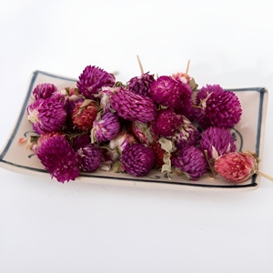 Flores secas de gomphrena globosa al mejor precio, flor de amaranto globo deshidratada de fábrica en Vietnam - Product Image 5