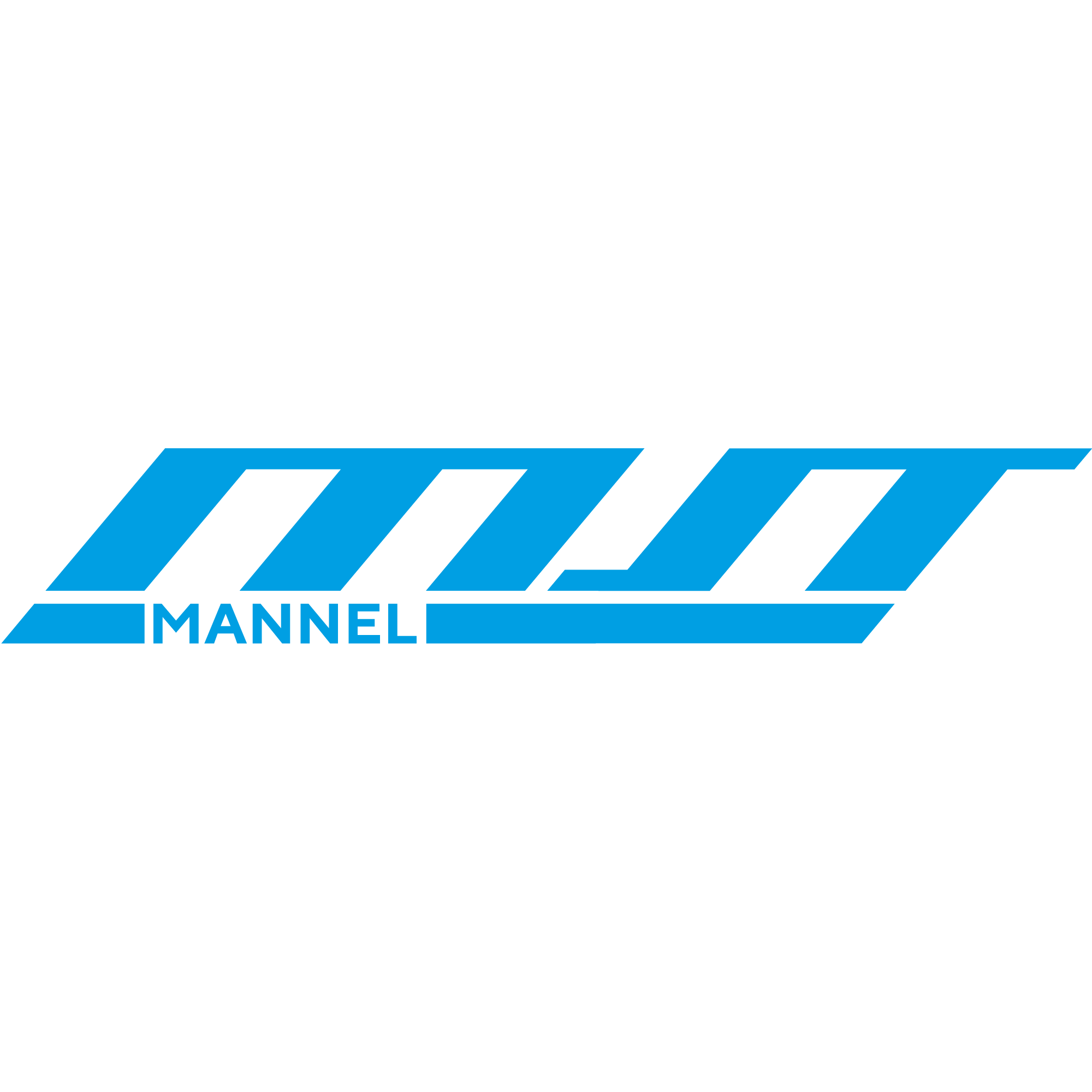 Mannel Magnettechnik GmbH logo