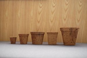 Natural Coconut Coir Plant Pot Biodegradable Nursery Growing <b>Container</b> - Product Image 2