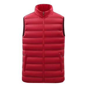 Chaqueta de Invierno para Hombre INTERKNIT INTERNATIONAL, con Capucha, Cuello Alto, Resistente al Viento, Transpirable, Diseño Casual a Rayas, Poliéster - Product Image 1