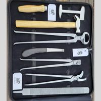 Kit de Herramientas Profesional de Acero Inoxidable de Alta Resistencia Clase II para Herradores de Caballos, Juego Completo para el Cuidado y Mantenimiento de Pezuñas Equinas