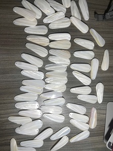 Leurre artificiel dur de surface en plastique nacré, non imprimé, avec hameçons, 100 pièces pour saumon, dorade, bar. - Product Image 4