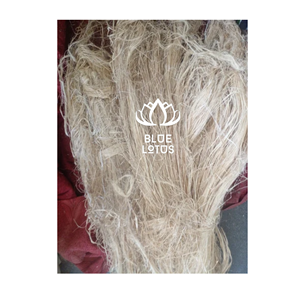 ENVÍO RÁPIDO, Seguro y Ecológico, Fibra de Plátano 2026, Material Vegetal Puro, Ideal para la Fabricación de Papel y Tejido Textil, Venta Directa de Fábrica - Product Image 1