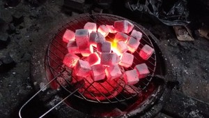 CHARBON DE BOIS DE COQUILLE DE NOIX DE COCO 100% BOIS PAR BIWOOD COMPANY VIETNAM, SANS DANGER POUR LA SANTÉ, PRÊT À VENDRE - Product Image 5