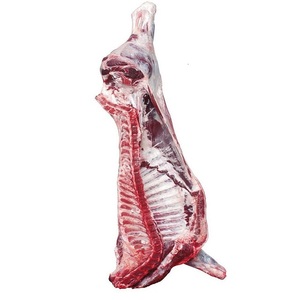 Carcasses de bœuf congelées sélectionnées offrant une qualité de viande constante et un stockage pratique pour les restaurants, les détaillants et les commerçants - Product Image 2