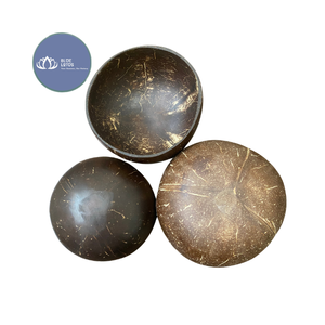 [DISPONIBLE] |   Bol en coquille de noix de coco écologique, finition lisse, vente en gros, artisanal, pour la cuisine, les desserts, fabriqué au Vietnam - Product Image 1