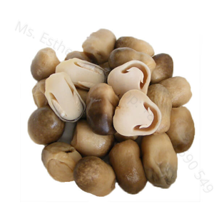 Proveedor de Hongos de Vietnam – Hongos Frescos de Alta Calidad // Sr. Tom - Product Image 4