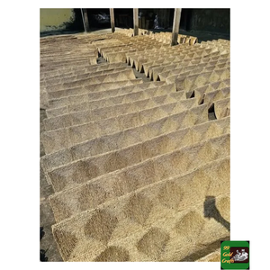 Tapete de algas marinas, tallo acuático puro y seco originario de Vietnam, excelente para la decoración de mesas de comedor y espacios de descanso. - Product Image 6