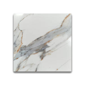 Azulejos de Cerámica Digitales para Pared y Suelo 60x60cm Acabado Brillante Impresión Digital Interior 600x600MM para Sala de Estar, Cocina y Baño - Product Image 1